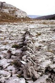 Art: The Work of Richard Long