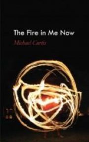 London Grip Poetry Review – Curtis