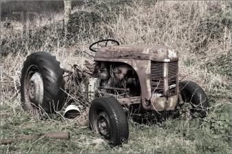 Old-Rusty-Abandoned-Farm-Tractor-295565
