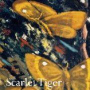 scarlet tiger