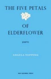 elderflower