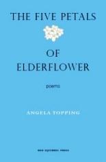 elderflower