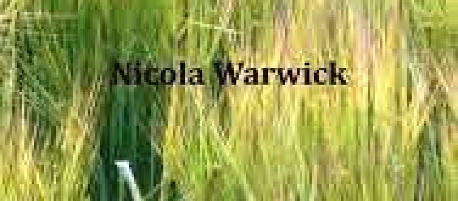 WARWICK