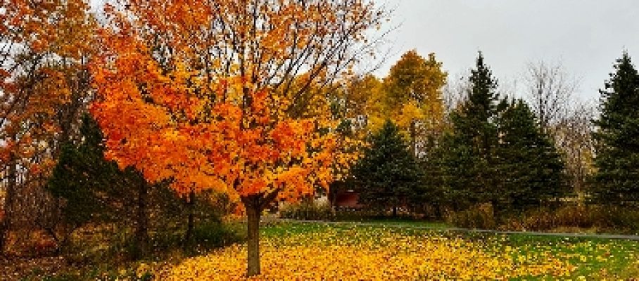 LONDON AUTUMN 2