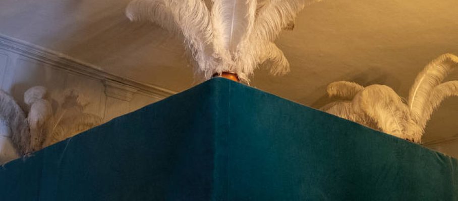 COVER MOSKOWITZ BROWN