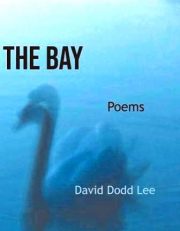COVER LEE