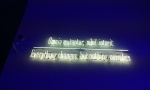 Joseph Kosuth, Everything changes but nothing perishes.
