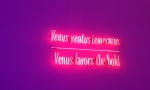 Joseph Kosuth, Venus Favours the bold.