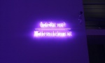 Joseph Kosuth, What he sees he knows not.