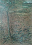 Tree in Villa Borghese, coloured pastels on yellow paper.