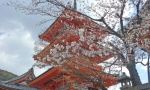 Kiyomizudera pagoda.
