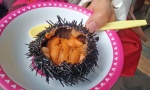 sushi in urchin shell.