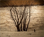 Victoria Crowe, Large Tree Group, 2013. Image Dovecot Studios.