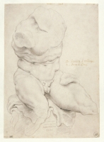 Study of Belvedere Torso_Peter Paul Rubens_copyright_Michel Wuyts Maison Rubens Anvers.JPG