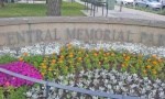 Memorial Park 3.