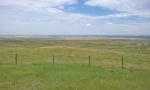 prairie 4.jpg
