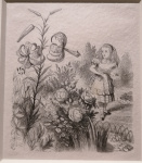 J.Tenniel, Garden of live flowers.