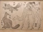 Camel, flying raccoon-dog and black fox.