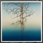 Reproduced by permission of the artist © The Trustees of the British Museum.